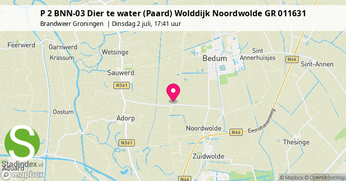 P 2 BNN-03 Dier te water (Paard) Wolddijk Noordwolde GR 011631