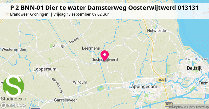 P 2 BNN-01 Dier te water Damsterweg Oosterwijtwerd 013131