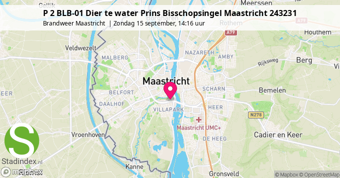 P 2 BLB-01 Dier te water Prins Bisschopsingel Maastricht 243231