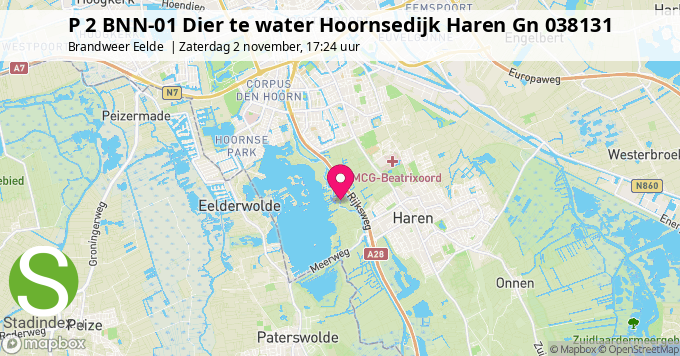 P 2 BNN-01 Dier te water Hoornsedijk Haren Gn 038131