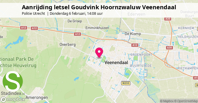 Aanrijding letsel Goudvink Hoornzwaluw Veenendaal