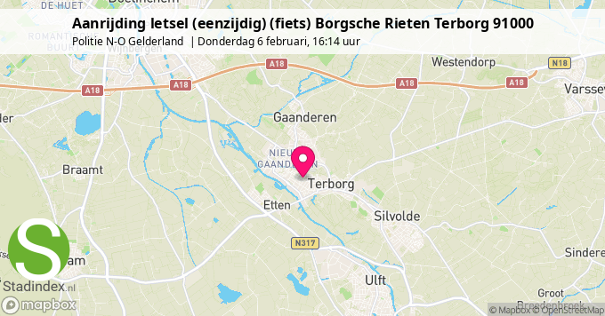 Aanrijding letsel (eenzijdig) (fiets) Borgsche Rieten Terborg 91000