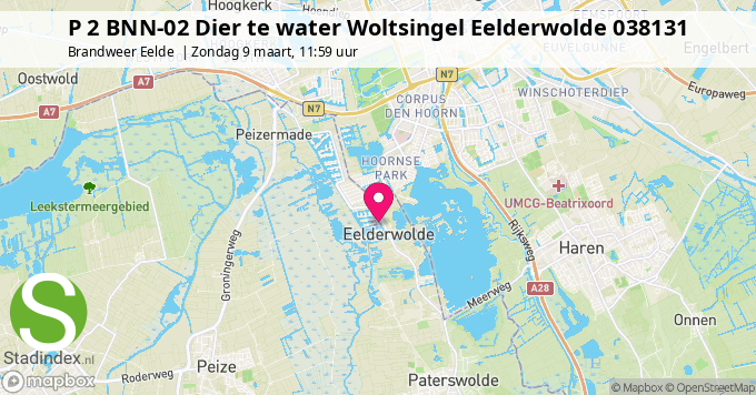 P 2 BNN-02 Dier te water Woltsingel Eelderwolde 038131